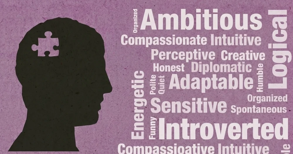 personality assesement- piba consult
